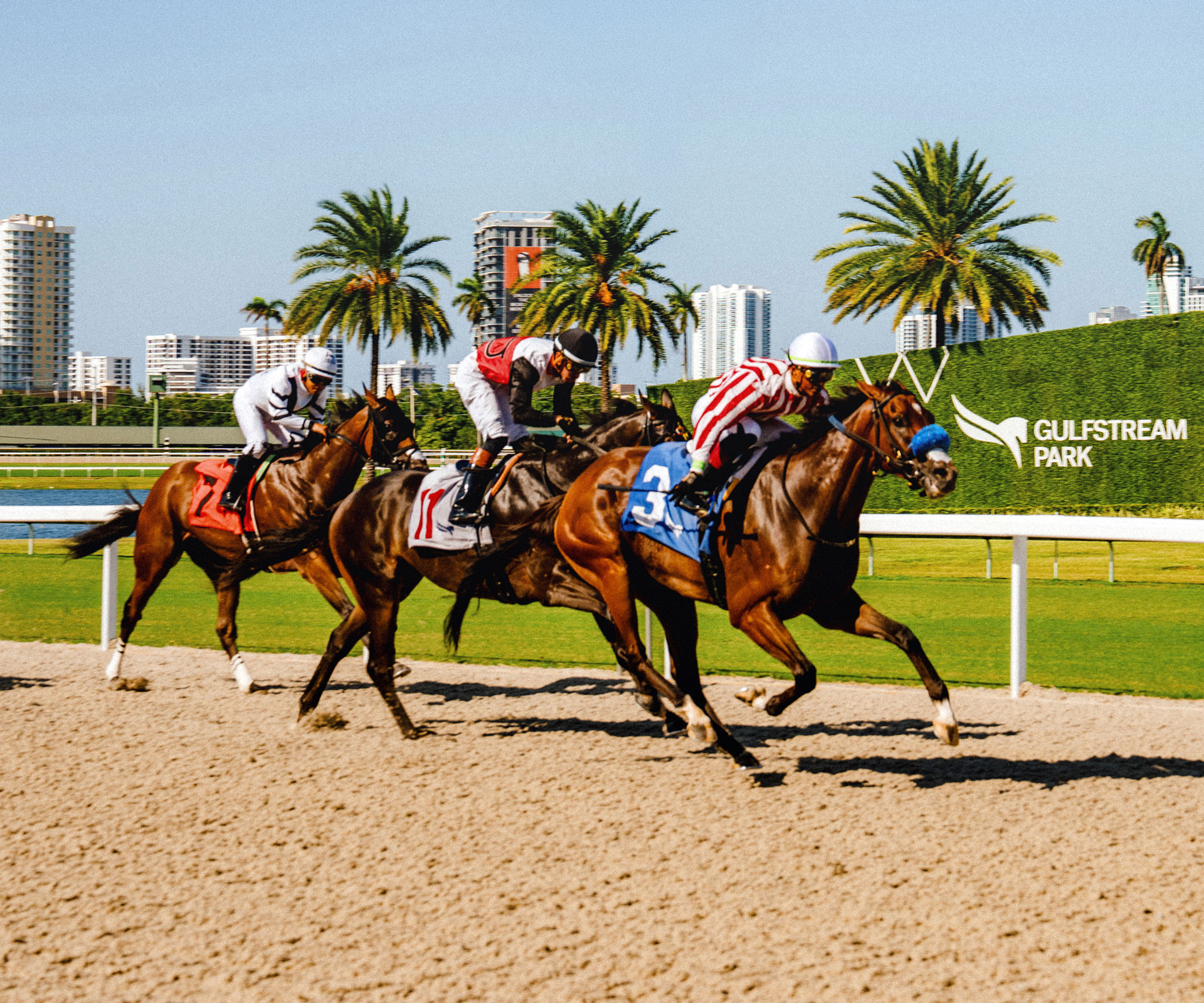 Thoroughbred racing at Gulfstream Park